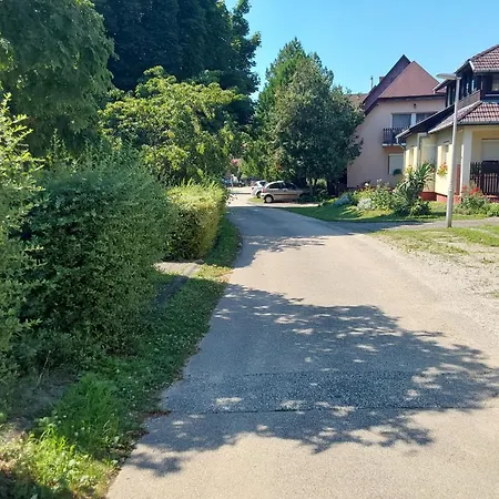 Tuerkiz - 5 Szobas 13 Fos Apartmanhaz 4km A Balaton- Balatonszabadi Fürdőtelep