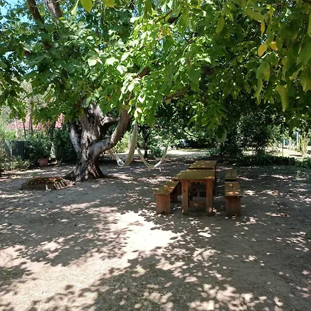 Tuerkiz - 5 Szobas 13 Fos Apartmanhaz 4km A Balaton- Balatonszabadi Fürdőtelep