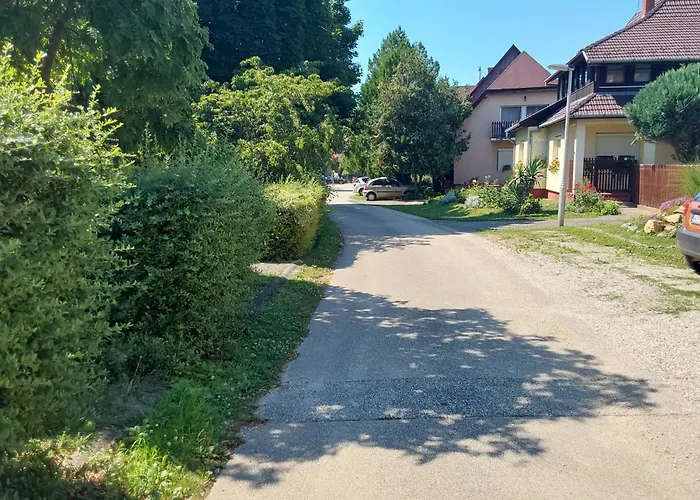 Tuerkiz - 5 Szobas 13 Fos Apartmanhaz 4km A Balaton- Balatonszabadi Fürdőtelep