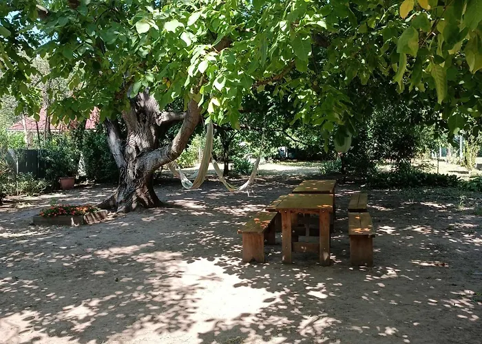 Tuerkiz - 5 Szobas 13 Fos Apartmanhaz 4km A Balaton- Balatonszabadi Fürdőtelep