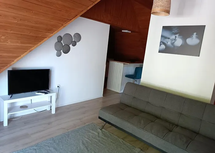 Tuerkiz - 5 Szobas 13 Fos Apartmanhaz 4km A Balaton- * Balatonszabadi Fürdőtelep